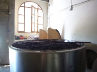 Fermentando en depósito de leche